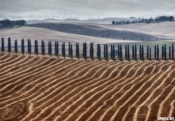 Stripes Toscane_С.jpg