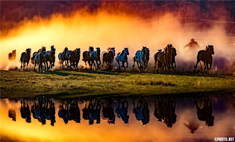 Galloping horses.jpg