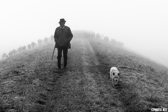 the shepherd_С.jpg