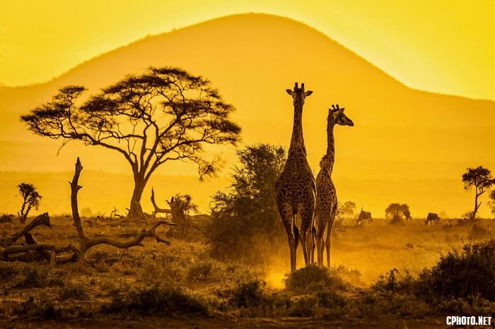 african sunset.jpg