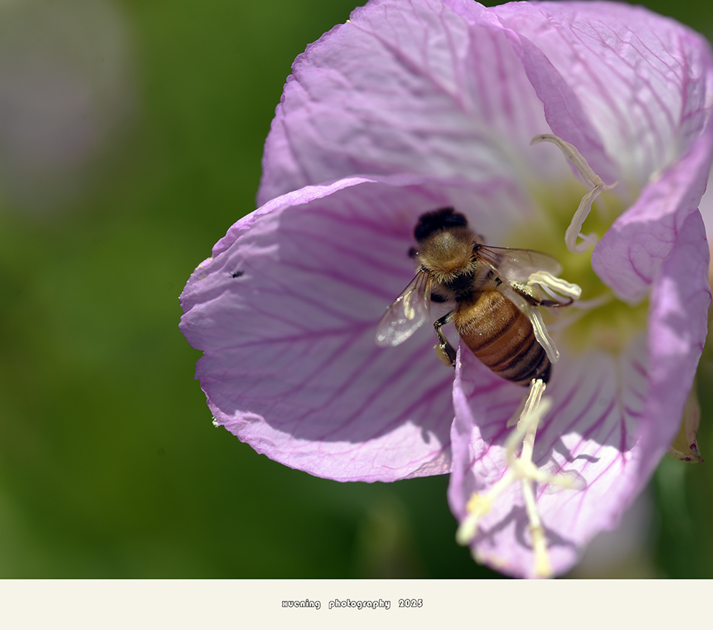 _DSC0218 拷贝.jpg