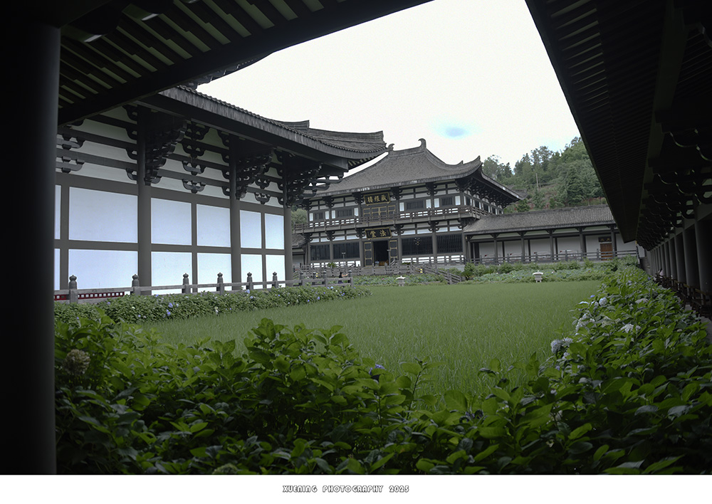 _DSC3249 拷贝.jpg