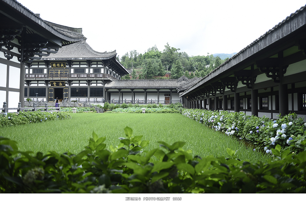 _DSC3256 拷贝.jpg