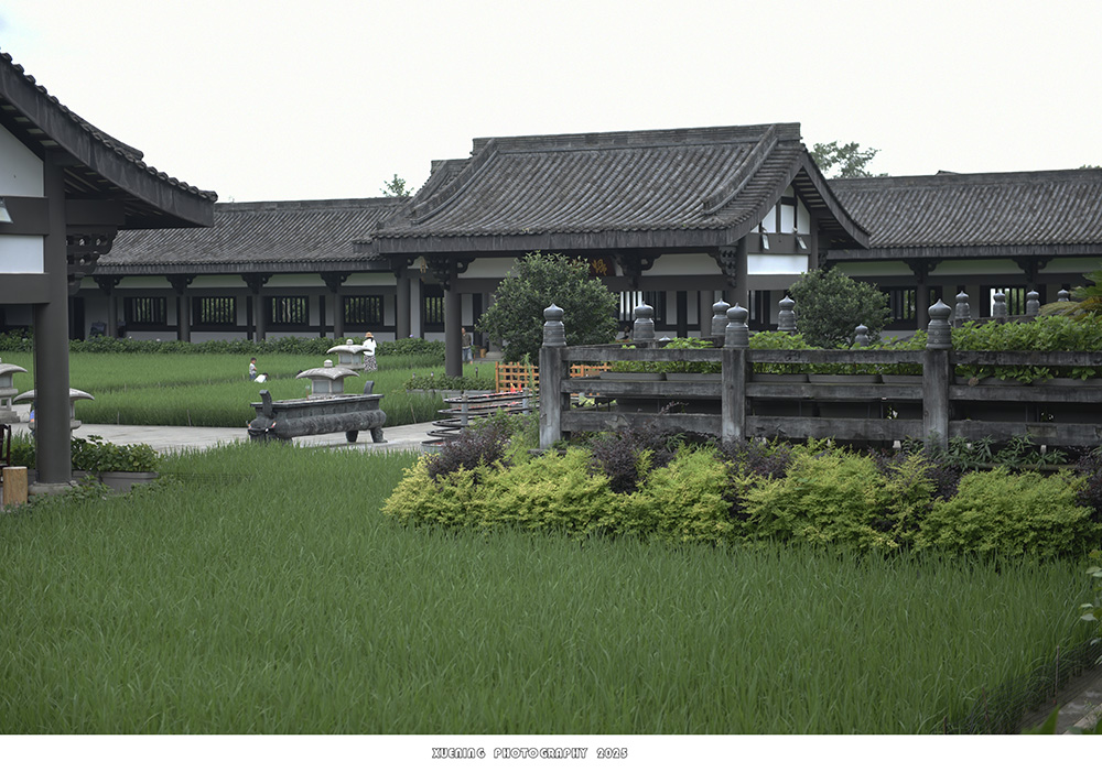 _DSC3255 拷贝.jpg