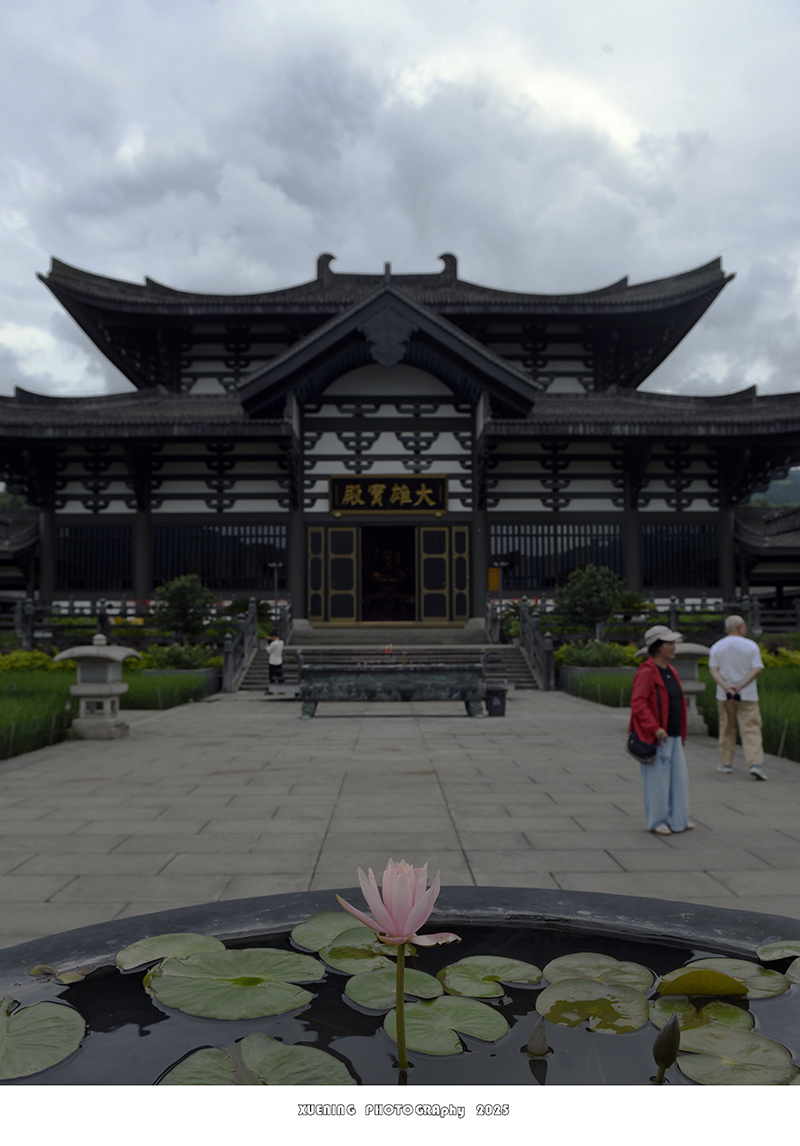 _DSC3244 拷贝.jpg