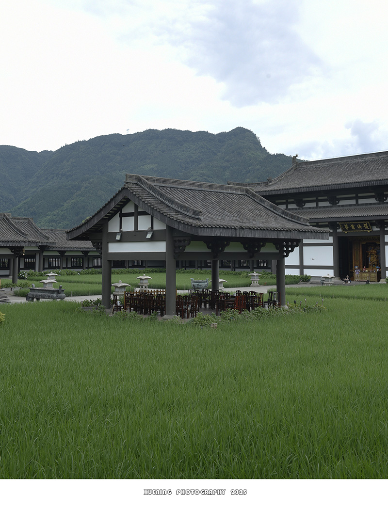 _DSC3297 拷贝.jpg
