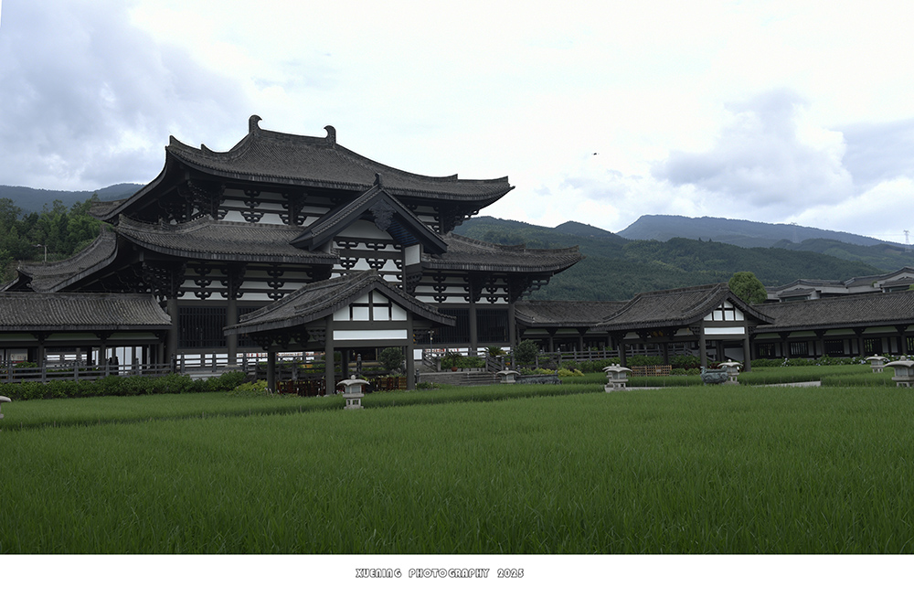 _DSC3307 拷贝.jpg