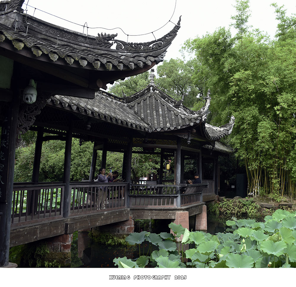 _DSC3097 拷贝.jpg