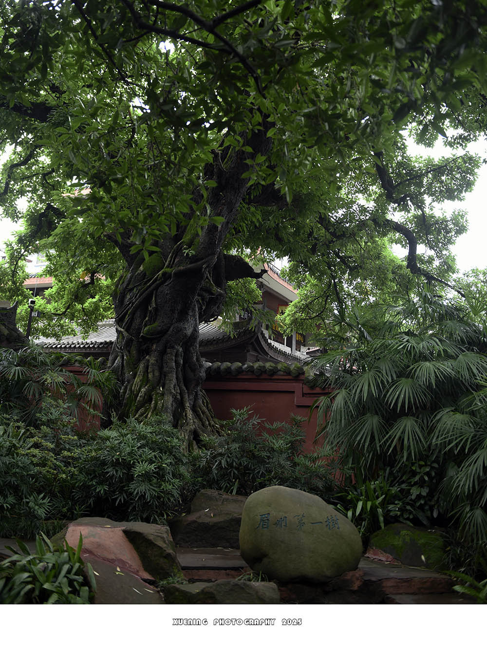 _DSC3090 拷贝.jpg