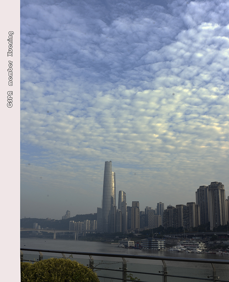 _DSC9726 拷贝 2.jpg