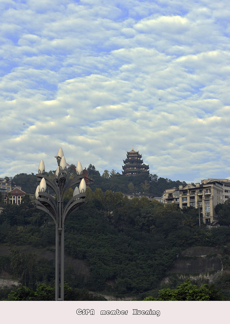 _DSC9728 拷贝 2.jpg