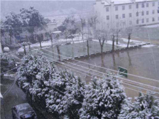[原创]2010的第一场雪