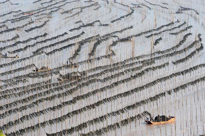 张锦辉霞浦滩涂摄影全指导