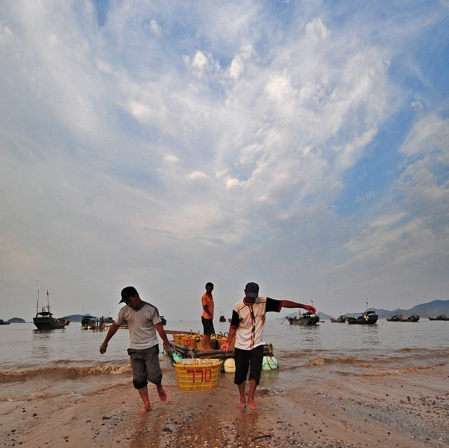 张锦辉霞浦滩涂摄影全指导