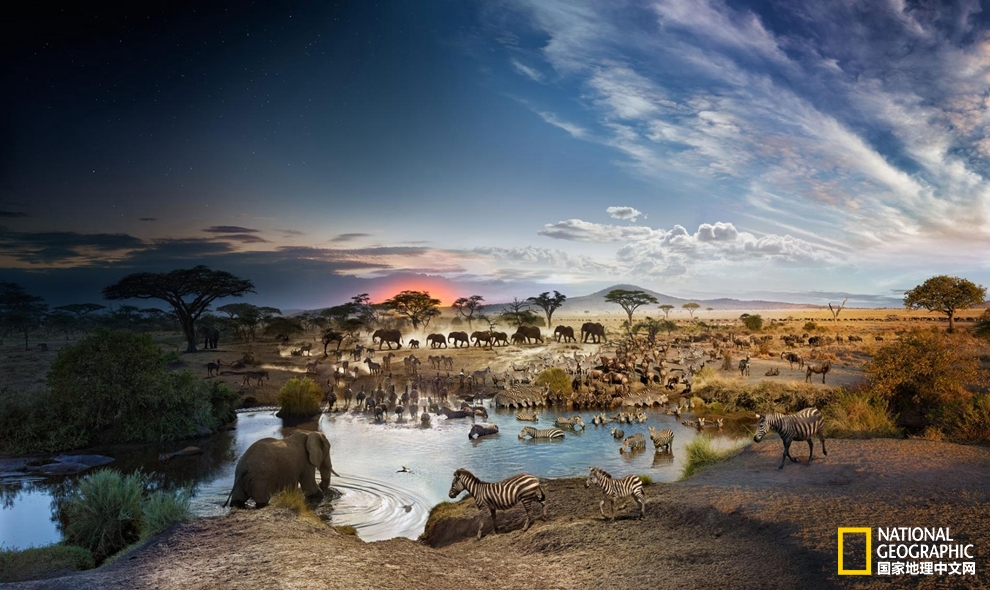 ���ʱ����Ա����᣺һ����Ƭ����һ������pic