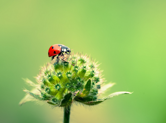 ΢��ͼƬ_20170615180427