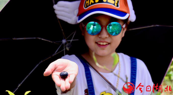 QQͼƬ20180618134106.png