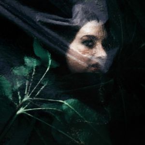 Lisa Sorgini-ˮ