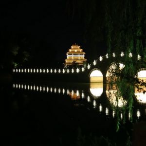 王長江：淮河岸畔西湖夜色美（圖）