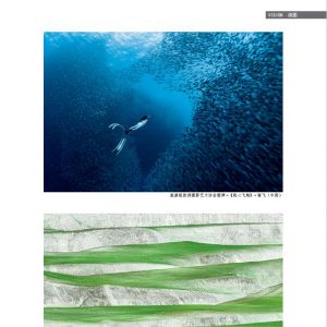 物流与生活——18/08期：读图之第一届珠海国际摄影展部分作品选登