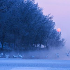 ֮