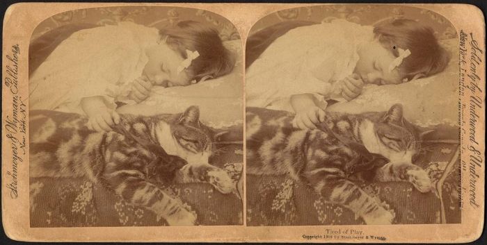 ˡһƬ1898ꡣͼԴCourtesy trustees of the B