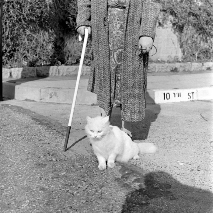 1947꣬һλŮʿԼҵĳèΪԼäͼԴThe LIFE Picture 
