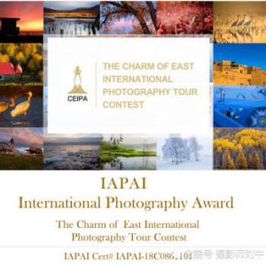 չӰʦŻĹ̨2018֮ϹӰѲ