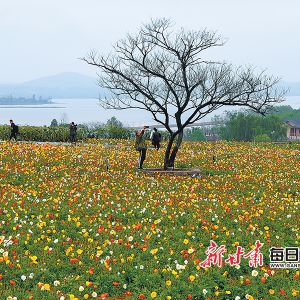 ǻ Ǻ ǲ衪ټý۽нʮɷûӰ