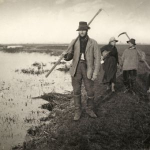 彼得·亨利·爱默生的白金印刷品《从沼泽归来》