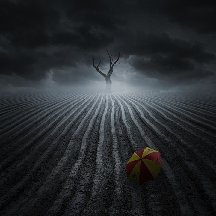 Leszek Bujnowskiضλõ