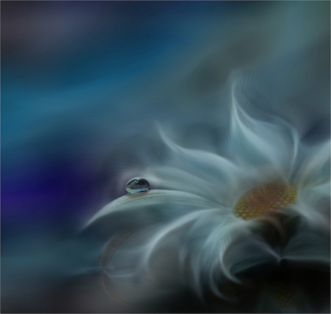 ӰʦJuliana NanλðĻӰ