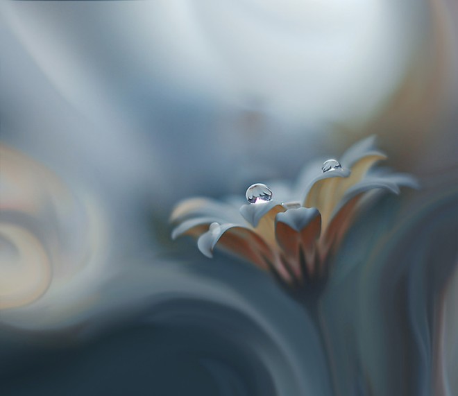 ӰʦJuliana NanλðĻӰ