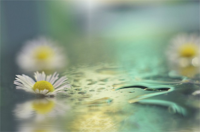 ӰʦJuliana NanλðĻӰ