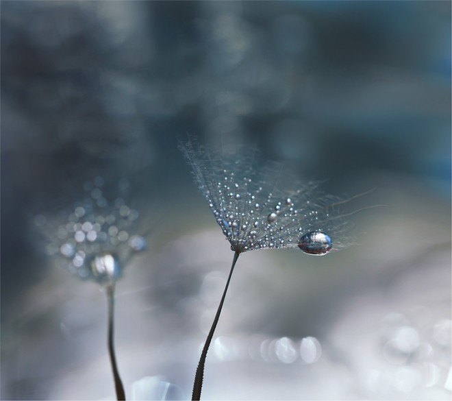 ӰʦJuliana NanλðĻӰ