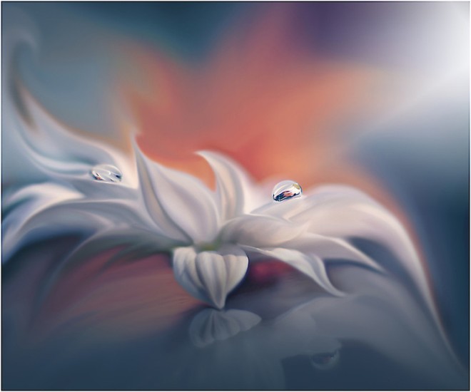 ӰʦJuliana NanλðĻӰ
