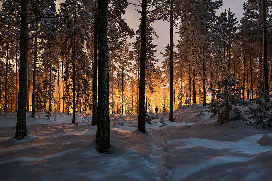 Mikko Lagerstedt˾̾ļӰ