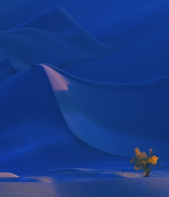 《蓝色沙漠》