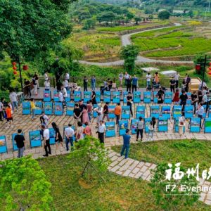 ׽츣ӰչʼѲչ 100飩Ʒ¼仯