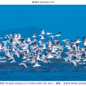 雙城·印象 中國·珠海市作品之三