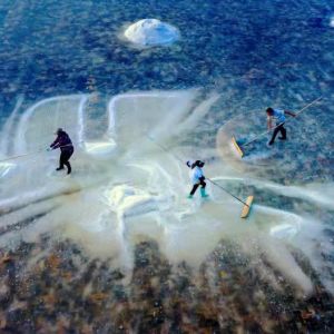 摄影喜讯  | 梁力生作品《盐田探戈》喜获入展