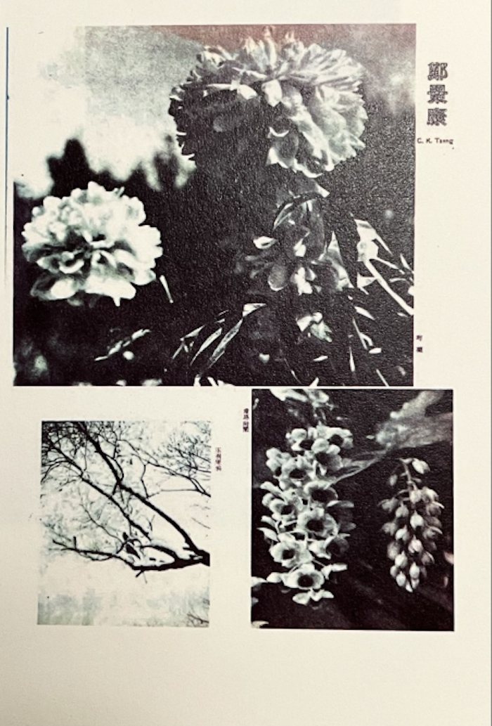 1937年，郑景康发表在《美术生活》上的三件作品。