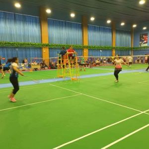 阿勒泰地区首届“福闽杯”羽毛球比赛在青河举办