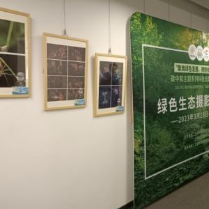 拥抱低碳生活 “碳中和主题系列绿色生态摄影作品展”亮相江宁路街道