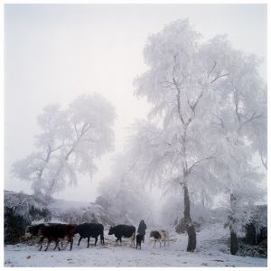 2005中国·丽水国际摄影文化节摄影作品展览——雪域情怀