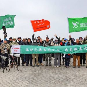 行摄生态中国，记录鸭绿江口鸟浪奇观