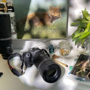 高效随行创作工具 EOS R7轻摄套装