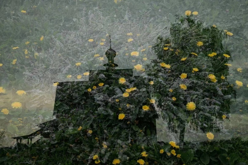 周宁摄影作品《郊外》