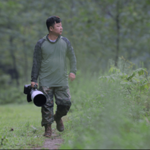 用佳能RF1200mm超望遠鏡頭捕捉野生動物的行為瞬間