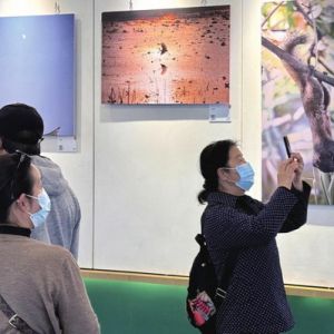 翠湖公园举办生物多样性摄影展